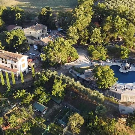 Agriturismo Selvella Радікофані Екстер'єр фото