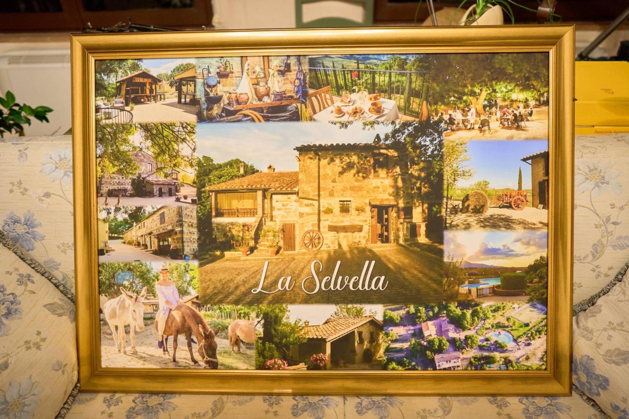 Agriturismo Selvella Радікофані Екстер'єр фото